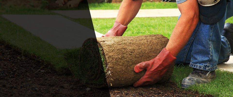 Gordon Landscapers
